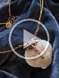 SHELL - Collier conchiglia bianca